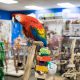 Bird Store & Supplies United Arab Emirates